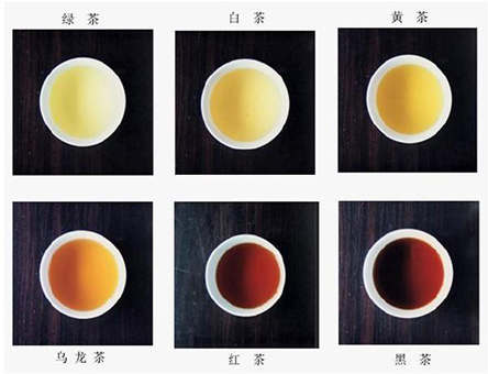 白茶属于六大茶系