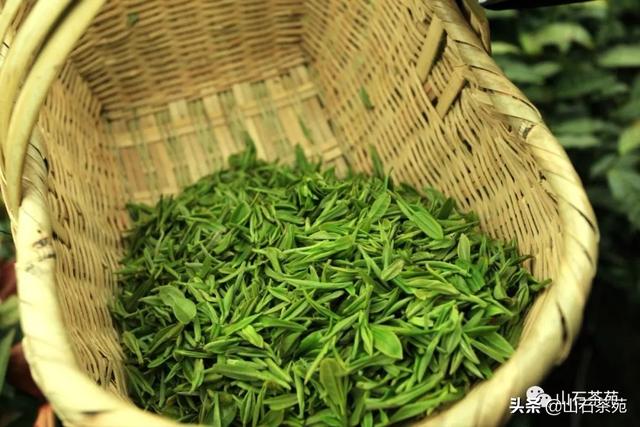 茶事 | 中国十大名茶当中哪种味道最好？