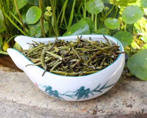 滇绿茶